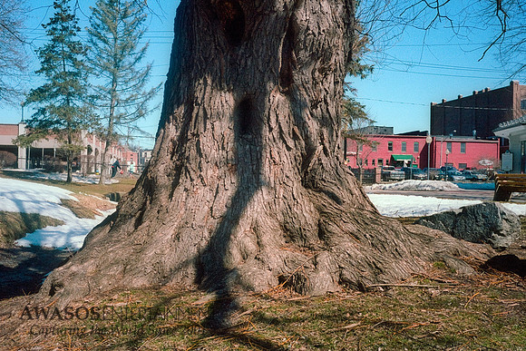 March-016