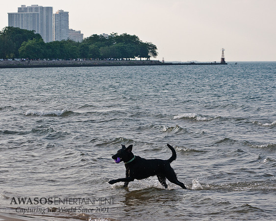 Chicago-10