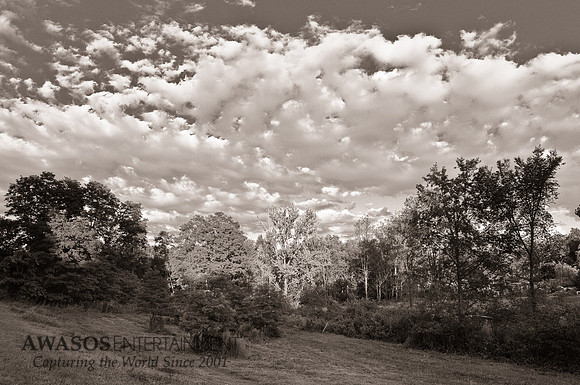 Greenfield Center, NY