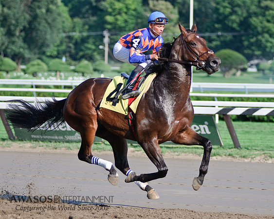 SaratogaRaceTrack-030
