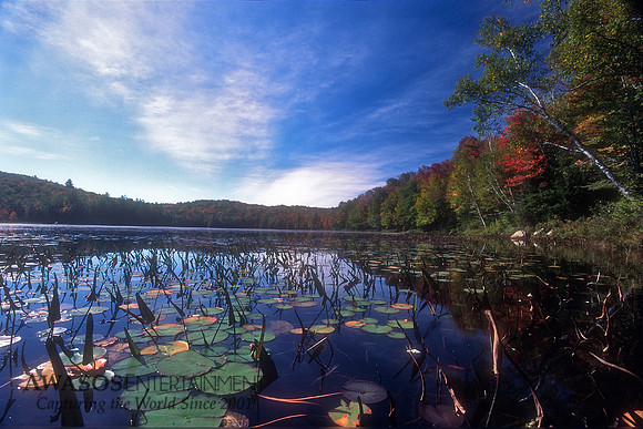 Cod Pond, Adirondacks