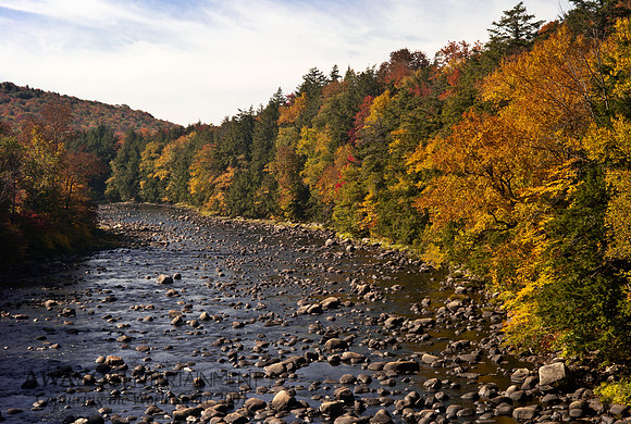 2014Fall-7