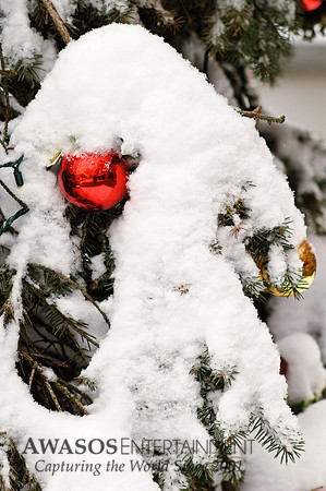 Winter-8