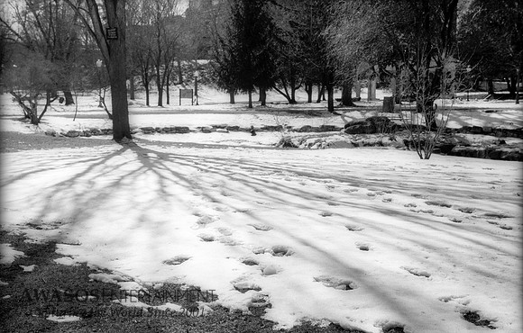 Leica12Spring48