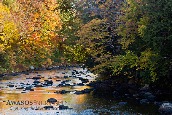 2014Fall-4