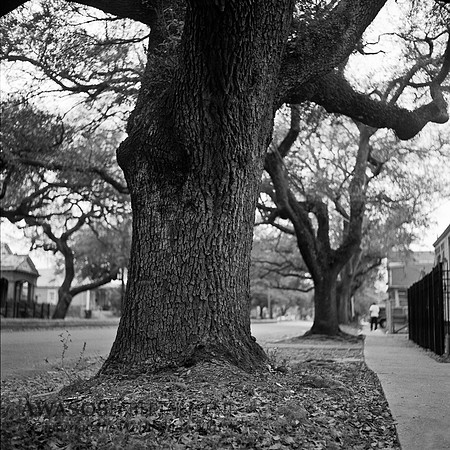 Rollei-007
