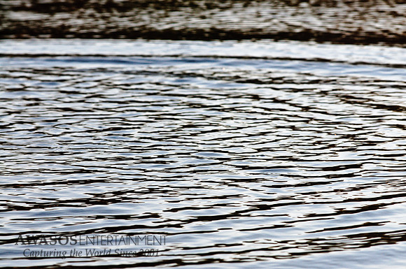 Reflections-2