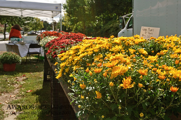 FarmersMarket-022
