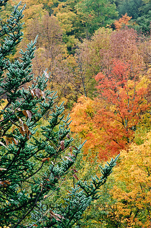 AdirondackFall-10