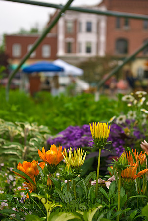 FarmersMarket-010