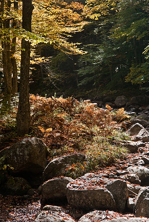2014Fall-9
