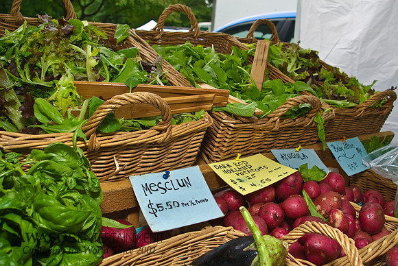 FarmersMarket-011