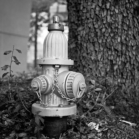 Rollei-009