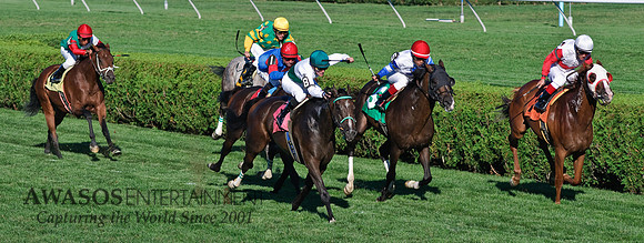 SaratogaRaceTrack-068