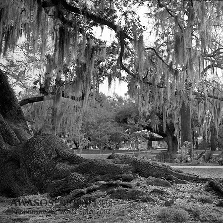 Rollei-004