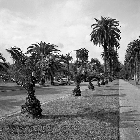 Rollei-002