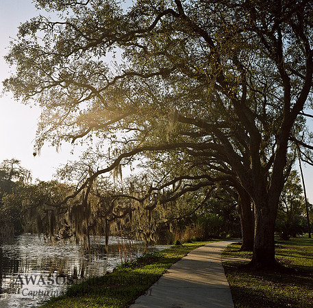 RolleiColor-004