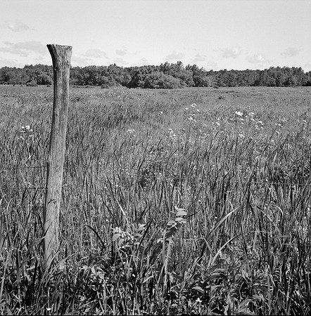 Hassey12SpringBW11