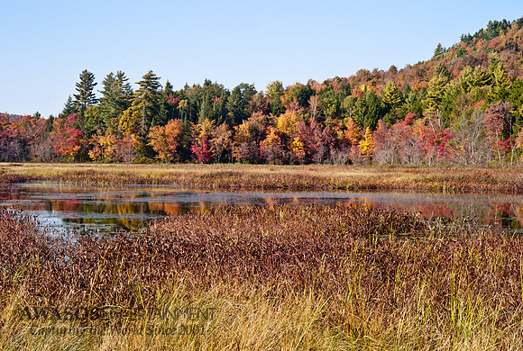 2014Fall-2