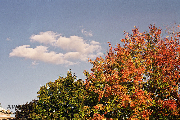 LeicaColor-4