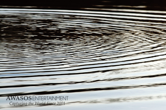 Reflections-6