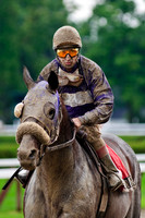 SaratogaRaceTrack-010