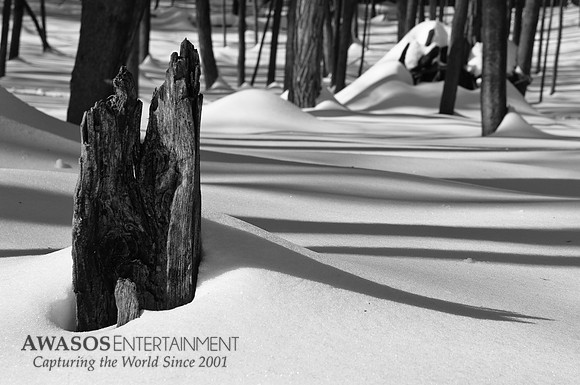 Greenfield Center, NY